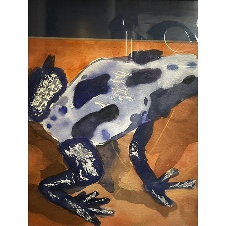 Original Watercolor Painting Frog Matted & Framed Under Glass Vintage 16×12”