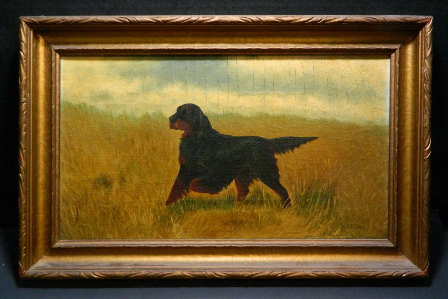 Antique Framed Gordon Setter Pointing Oil On Canvas Signed W.H. Thomas 16.75″ VG