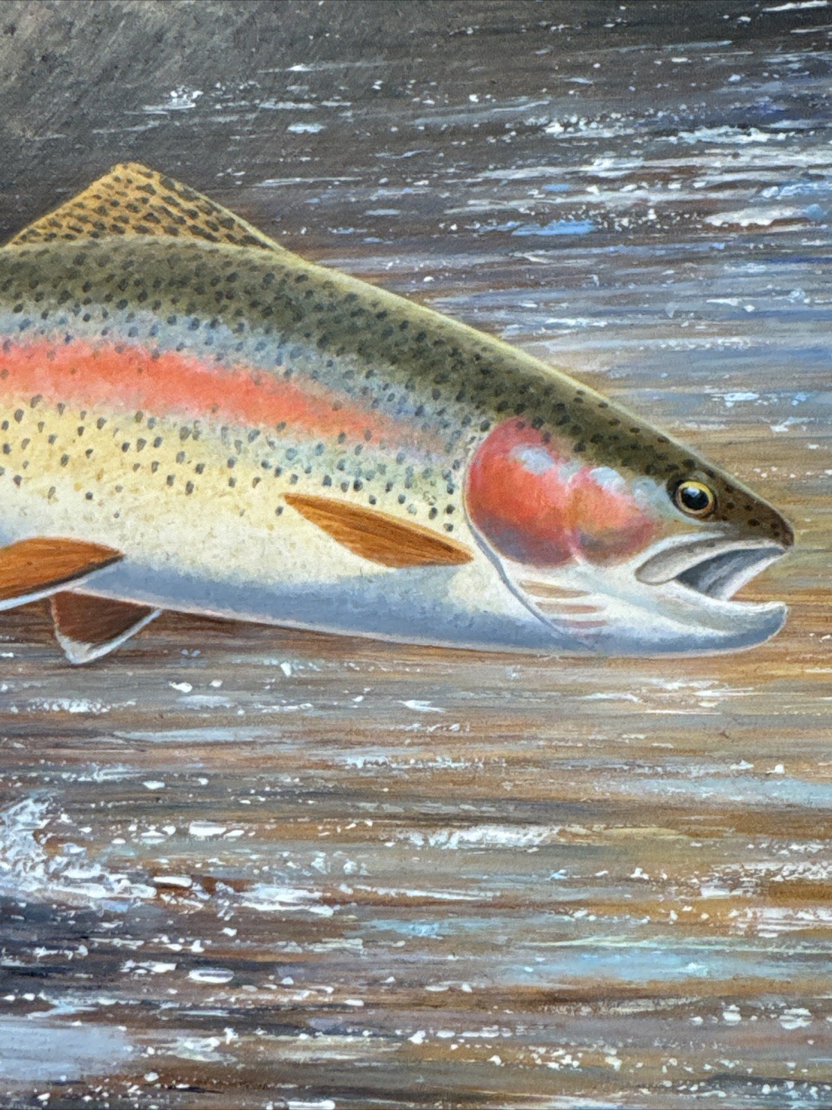 Fish Painting Fishing Jumping Fly Lure River Stream David Chapple Listed Famous