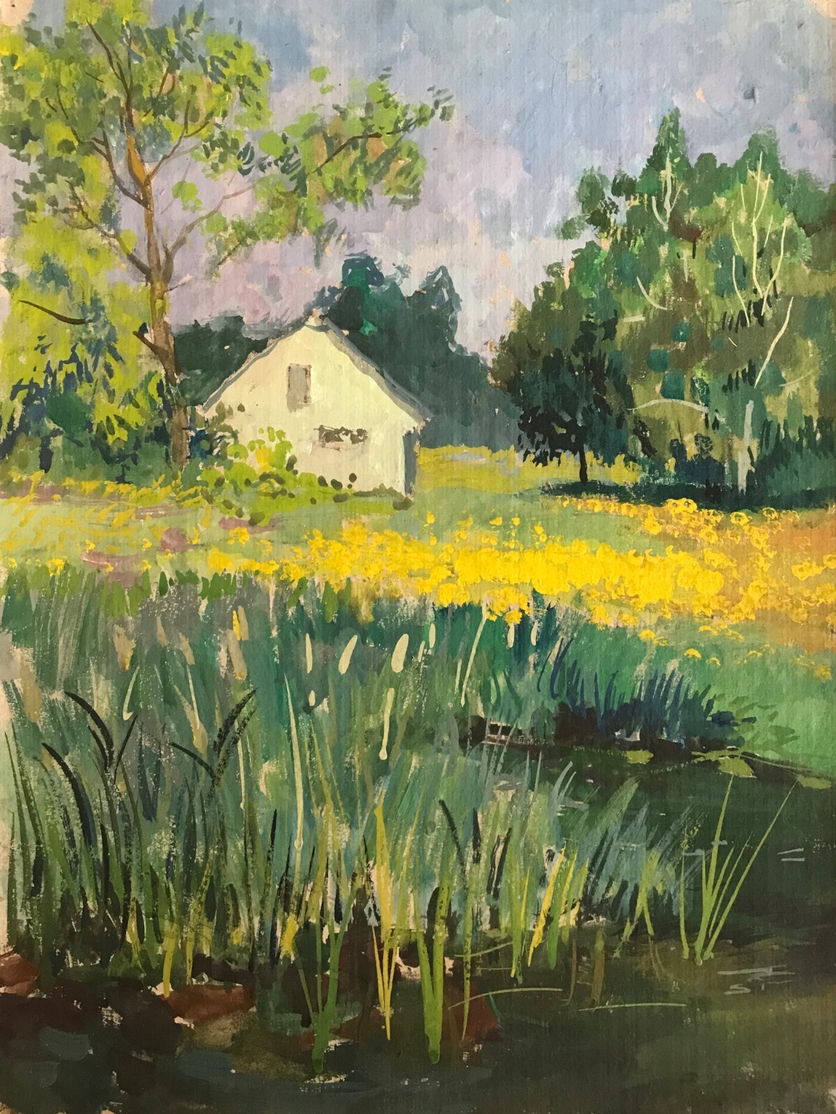 Tempera Painting Dandelions Have Blossomed Wihyrovskii V. Unframed Art nAAA2162