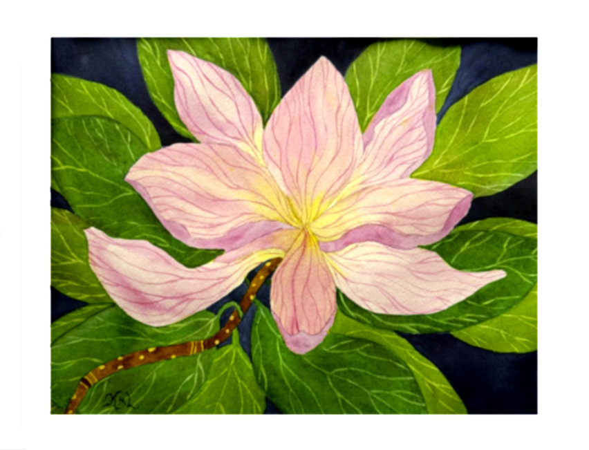PAINTING WATERCOLOR ART MAGNOLIA FLOWER PINK 11X14 AND DOUBLE WHITE MAT 16X20