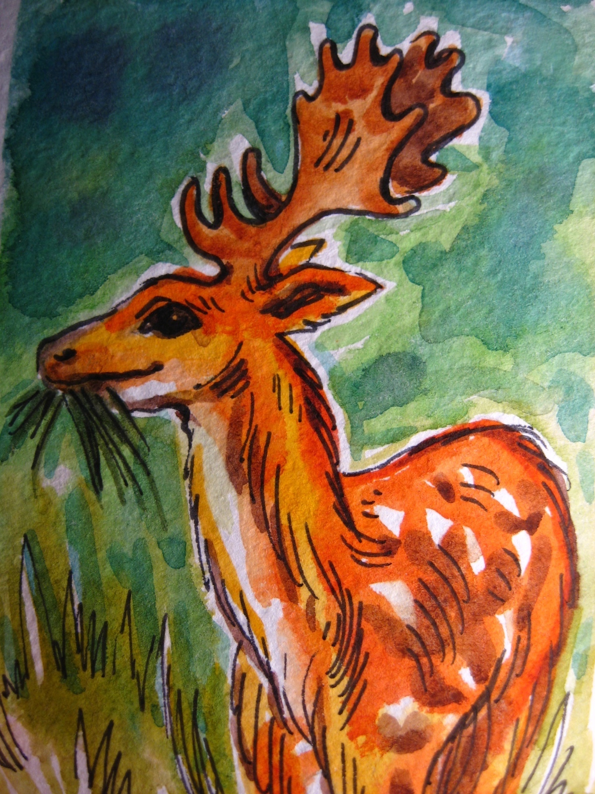 Deer Antler Food Meadow Grass Nature Wildlife Animal Collectible ACEO Art Card