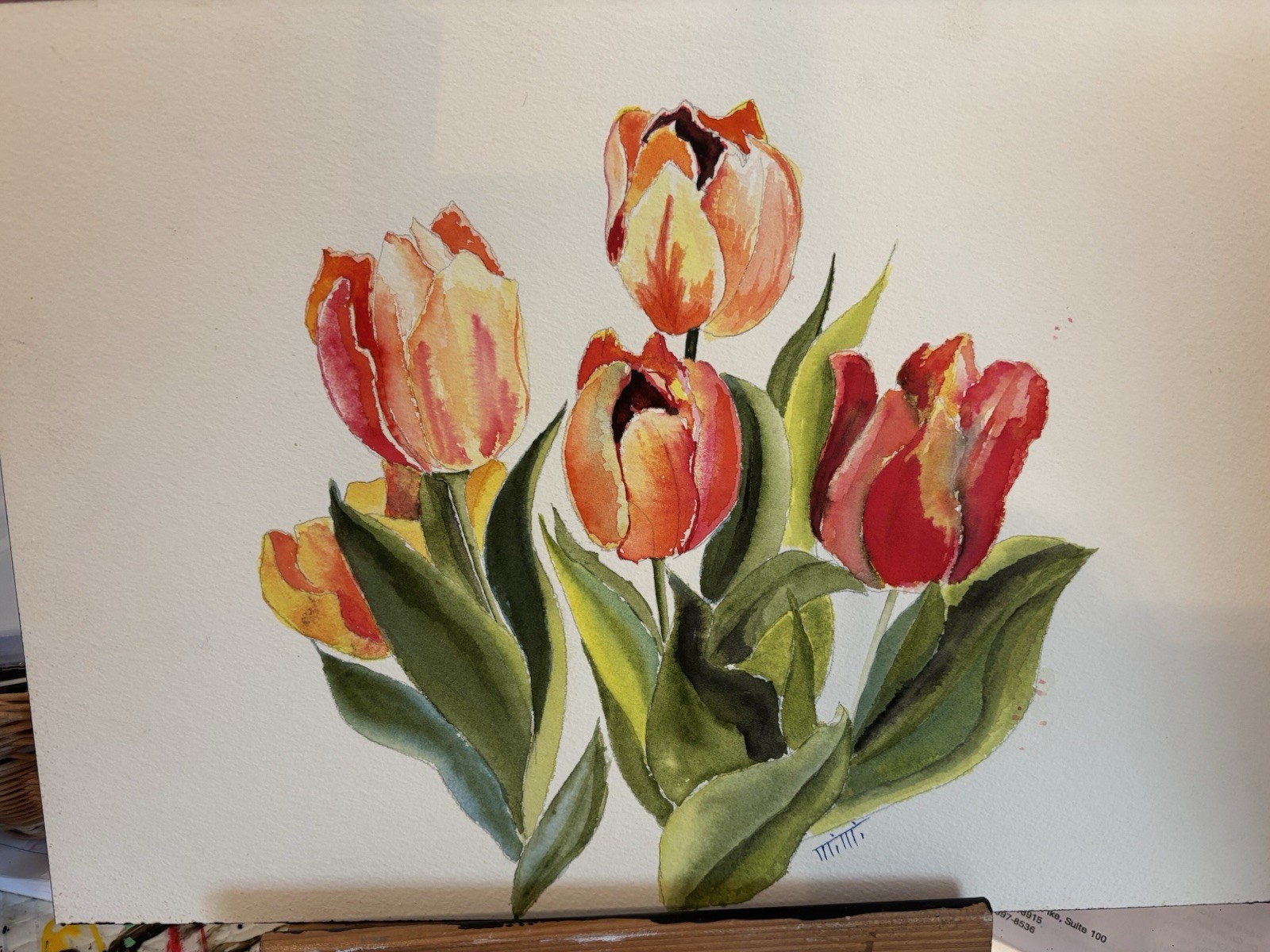 Tulips
