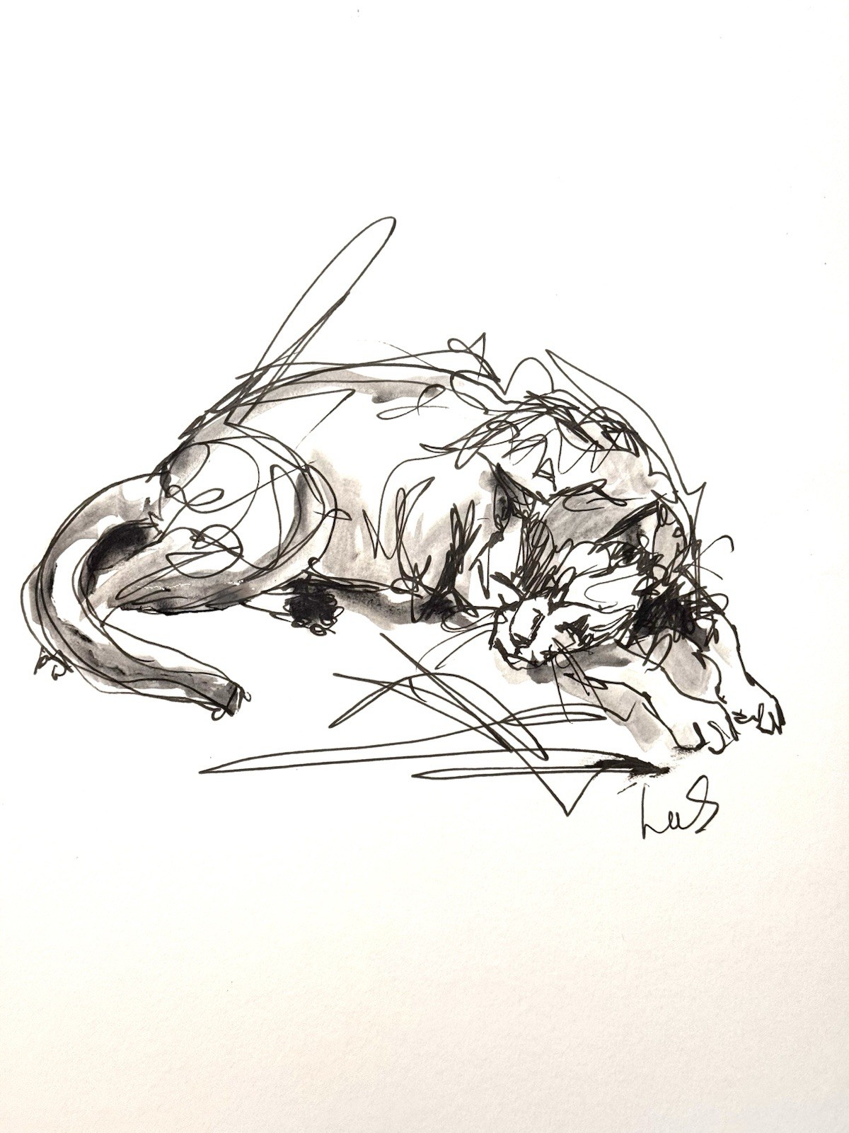 Original Abstract Expressionism 9×12 Sleeping Cat Paper Signed Fine Art 20