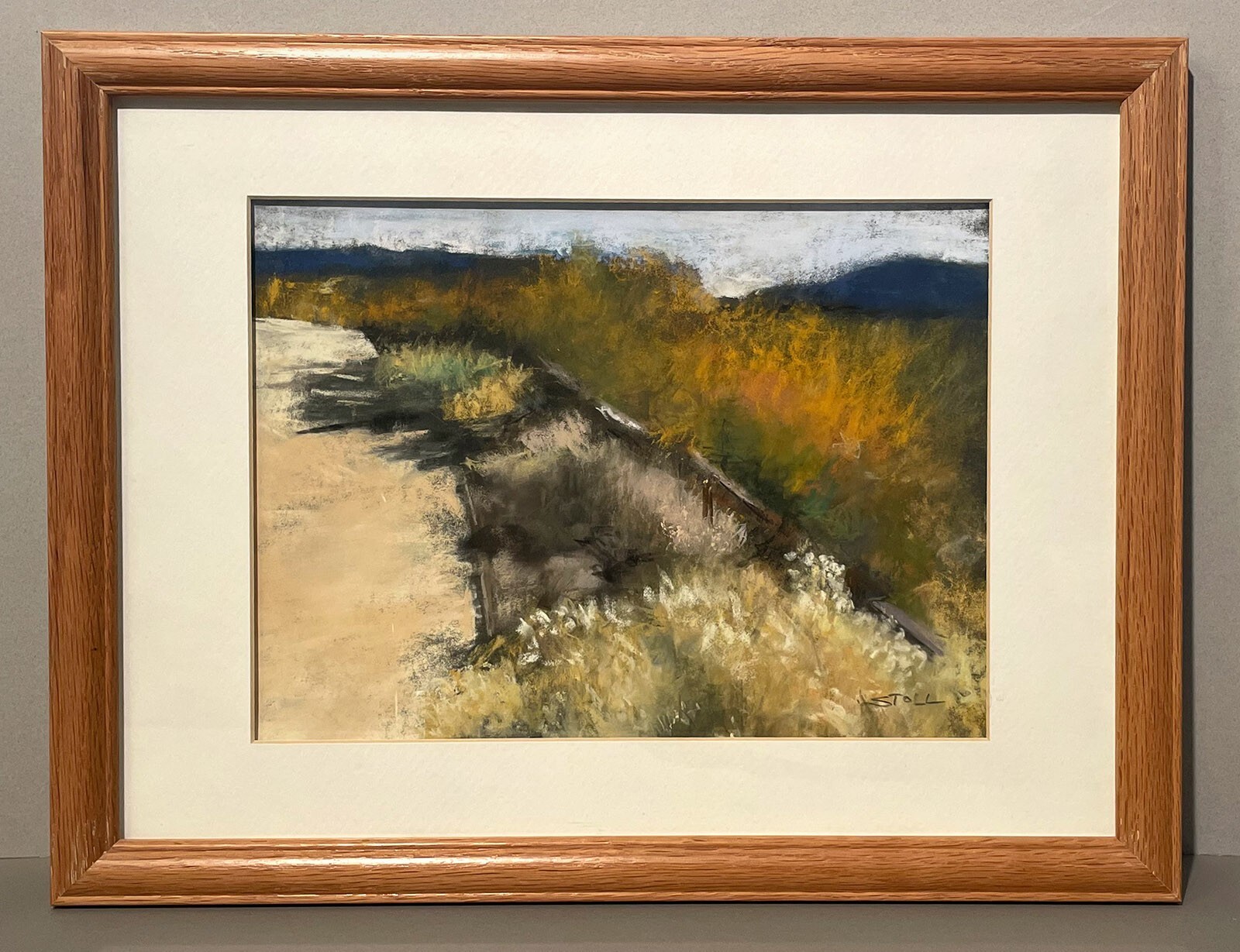 Nature Walk Anita Stoll Pastel California Art Desert Landscape Painting Realism