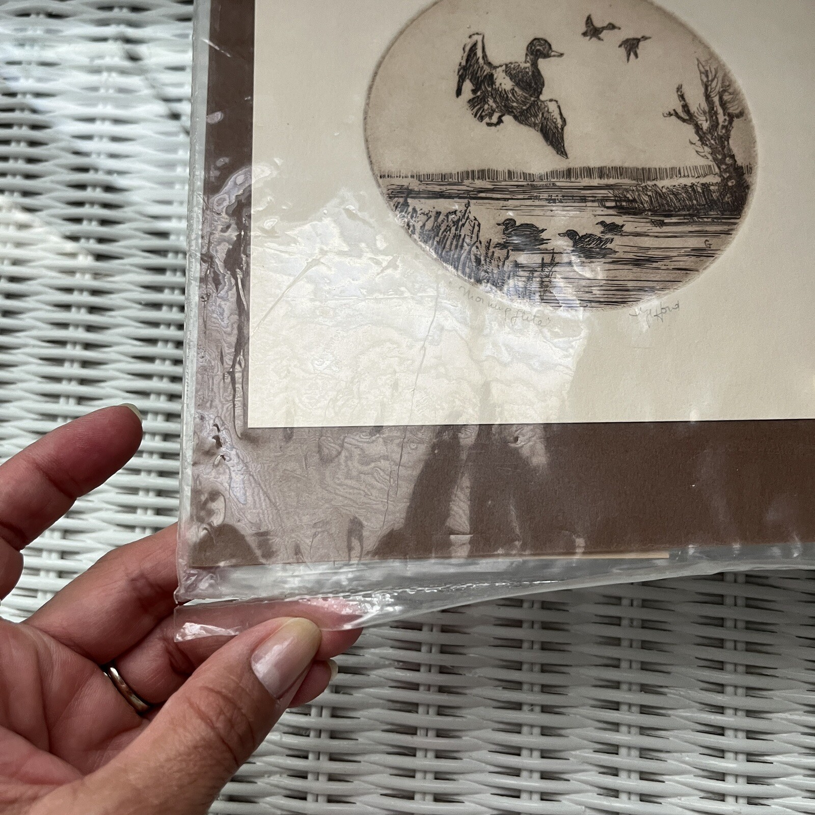 Vintage Original Etching Ducks flying paint «Morning flite», Signed Gifford