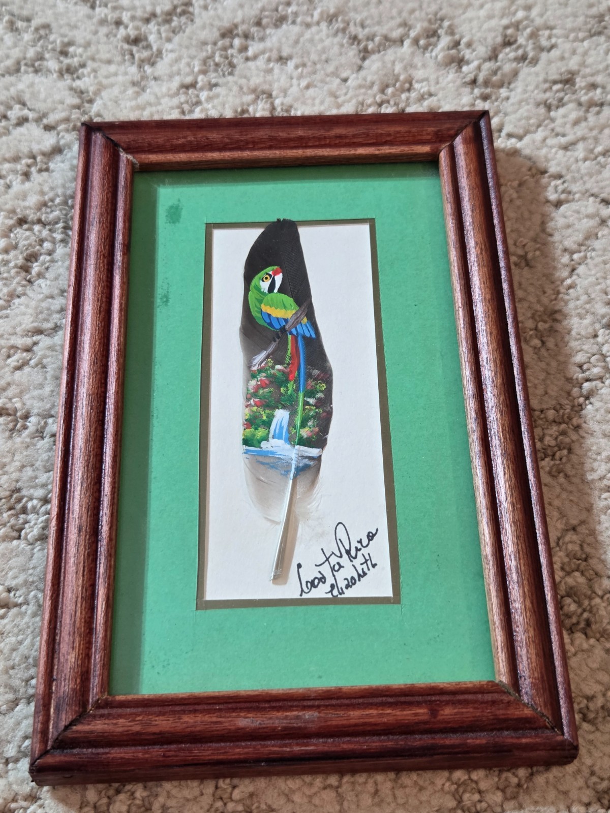 Hand Painted Feather, Parrot Signed Costa Rica Framed 7.75″ X 5”