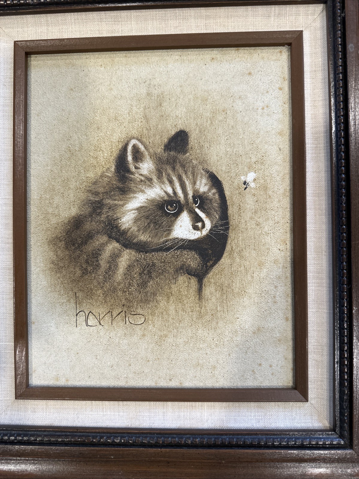 Peggy Harris Vintage 1981 Oil on Canvas Raccoon Painting 8 X 10