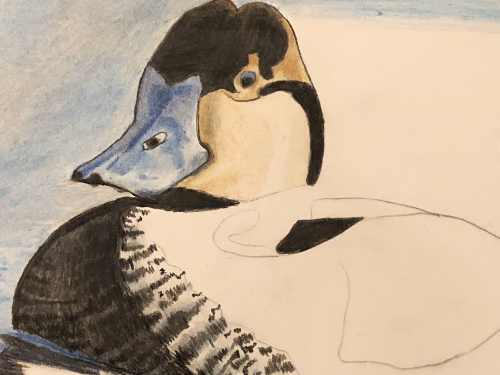 Rudy Duck Original Art by Arkansas Artist Leah Smith