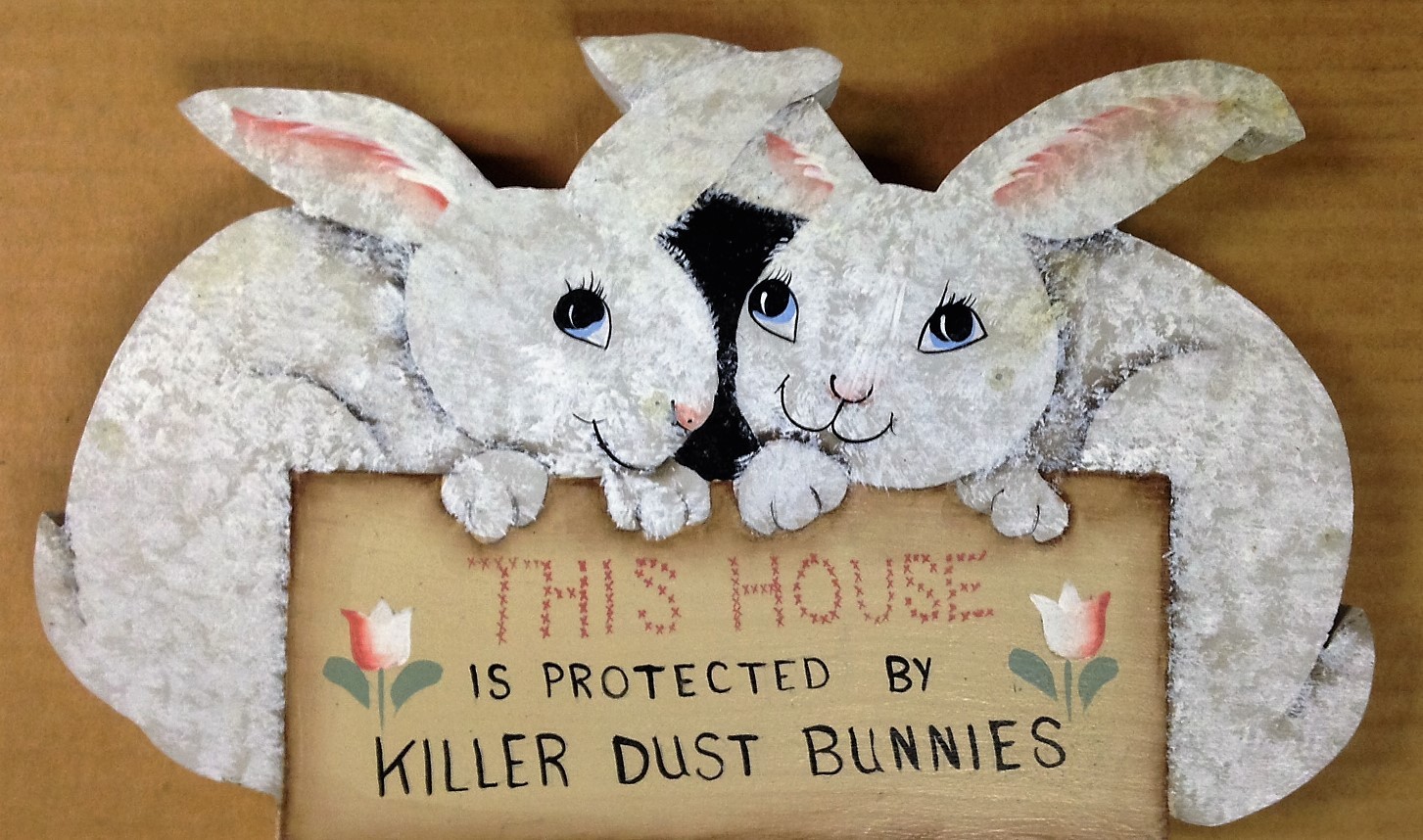 Dust Bunnies By Helen Emery