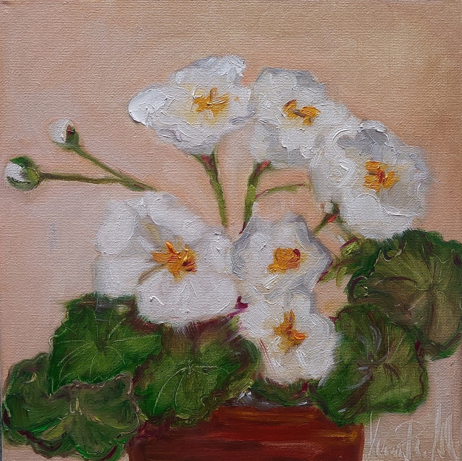Oil still life painting on canvas size 10×10 inches