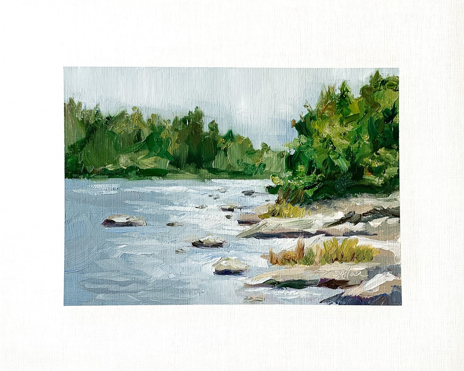 8×10 Maine Original Oil Painting Seascape Rocky Coastal New England Pines Signed