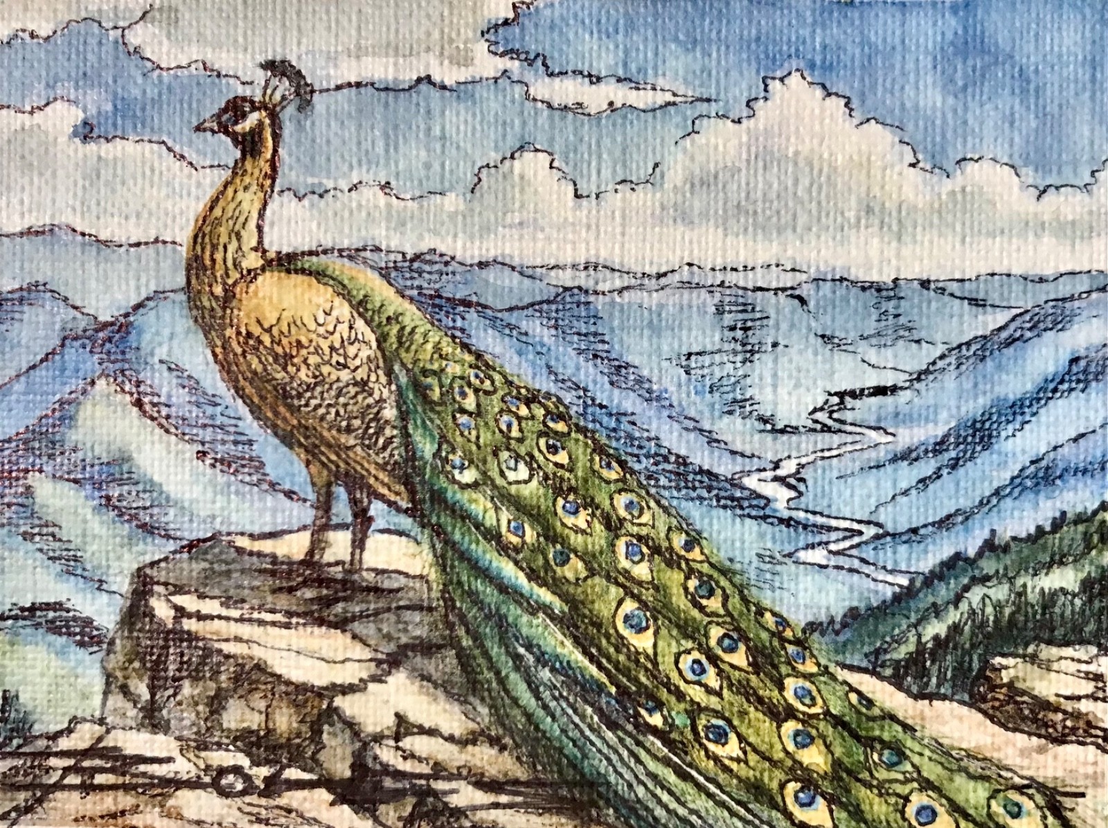 ORIGINAL Painted Pen and Watercolor (ACEO) Peacock Summit