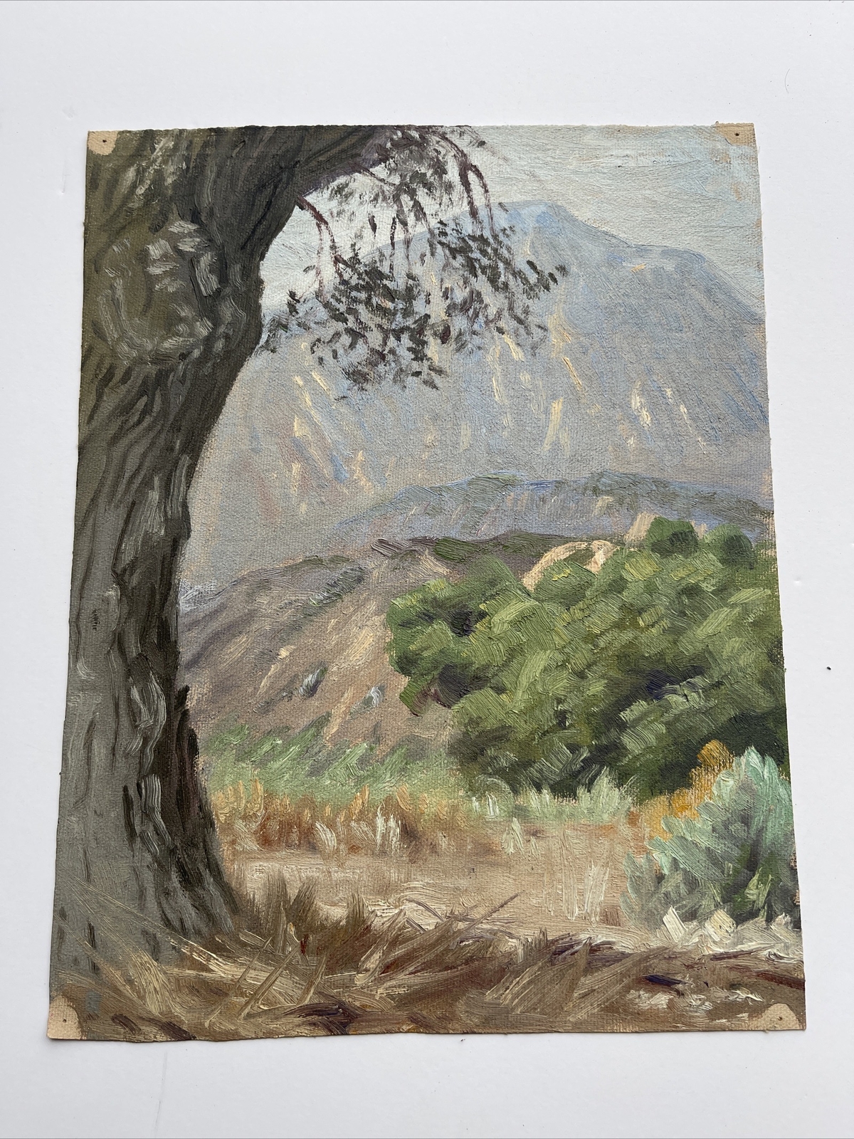 Antique Early California Painting Plein Air Landscape 1930’s IMPRESSIONISM OIL