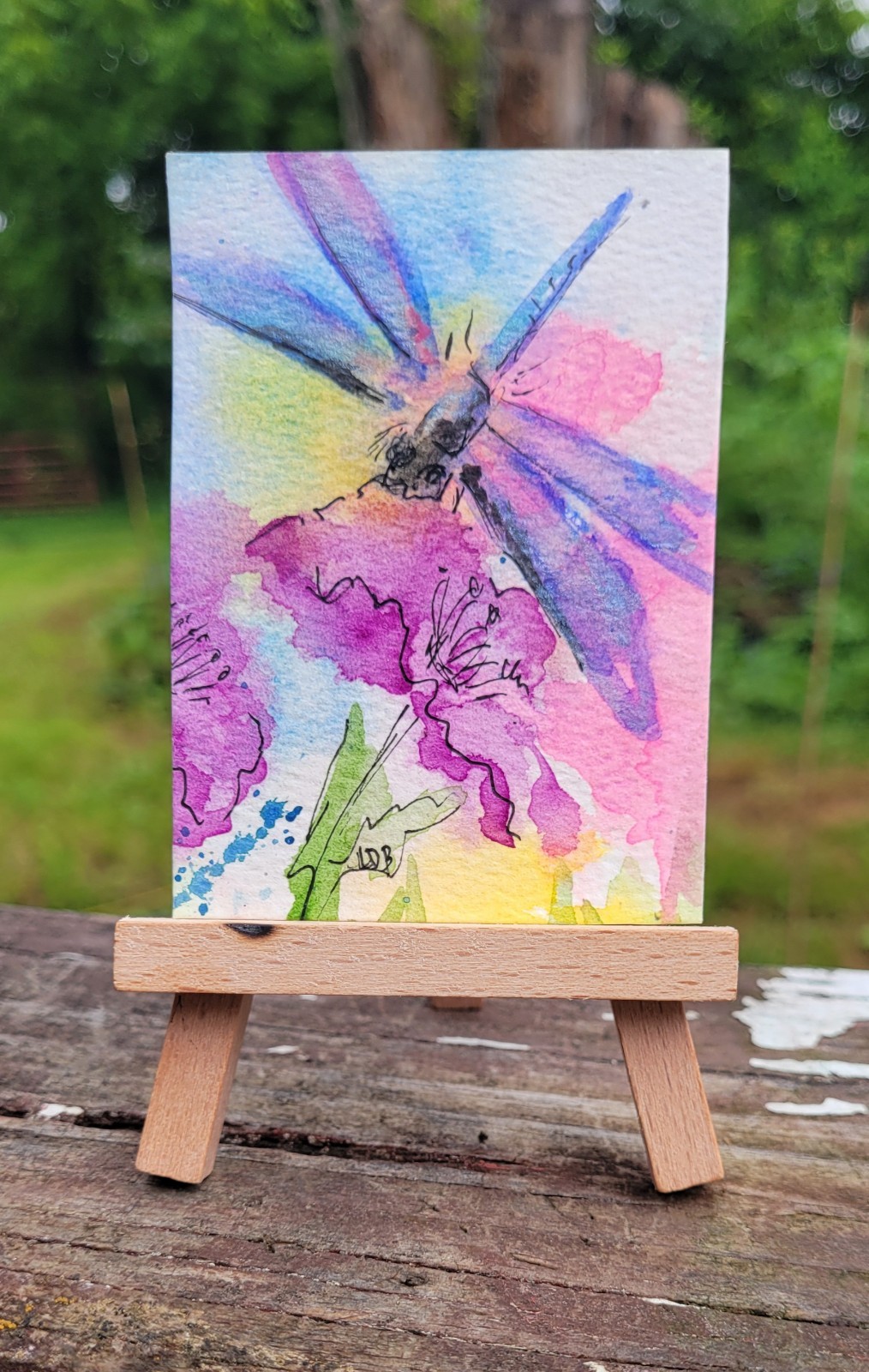 New ACEO Garden Watercolor Dragonfly Flowers Floral Nature Insect Botanical