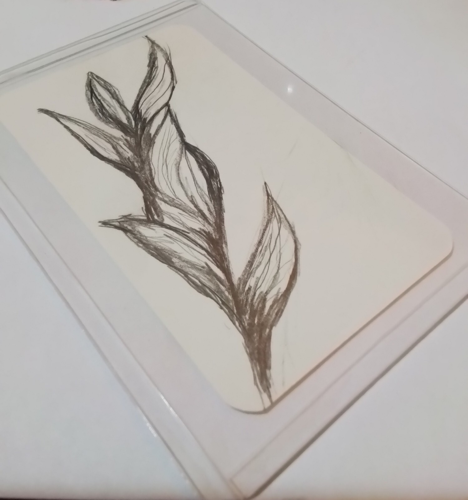 ATC Original Drawing Of Flower Spring By Eva Piantoni A5