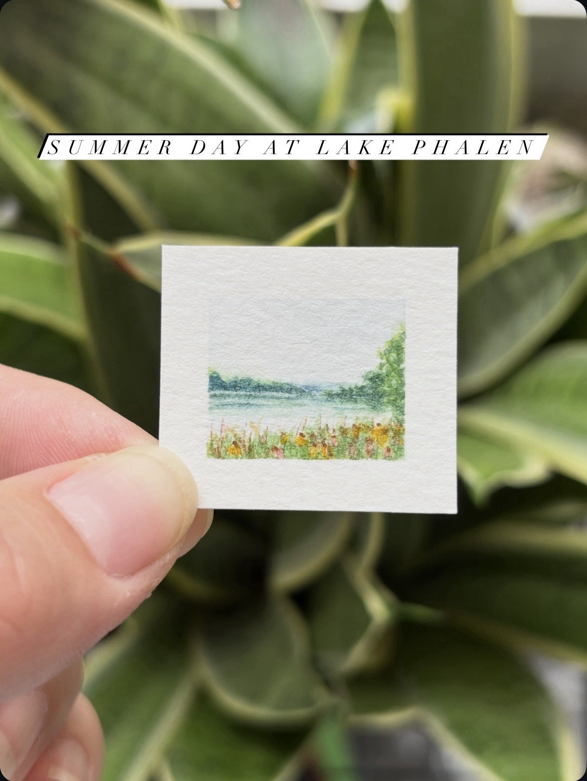“Summer Day at Lake Phalen” Miniature watercolor landscape original painting