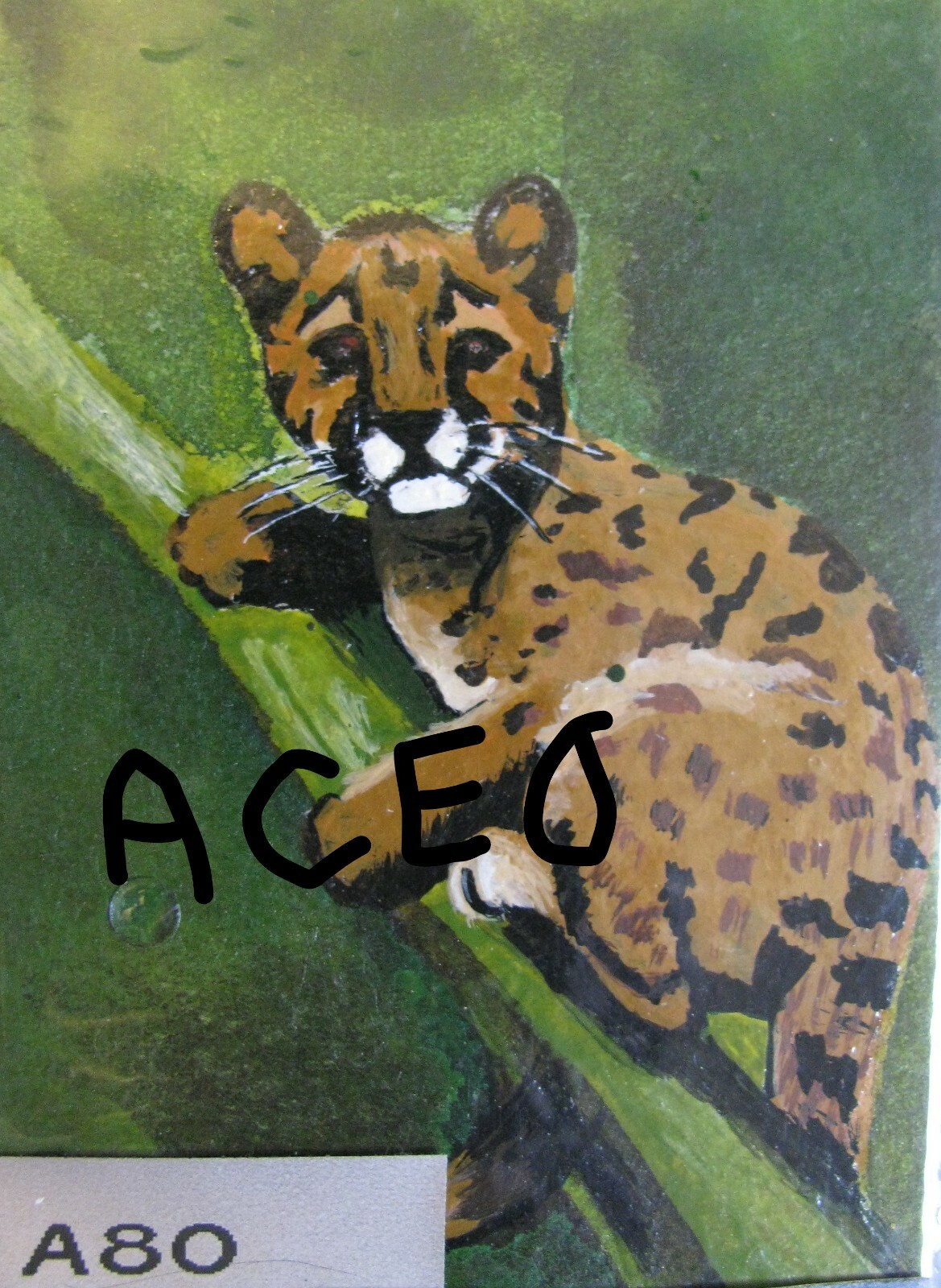 A496 «SNUBNOSED MONKEY» ORIGINAL ACRYLIC ACEO PAINTING BY LJH