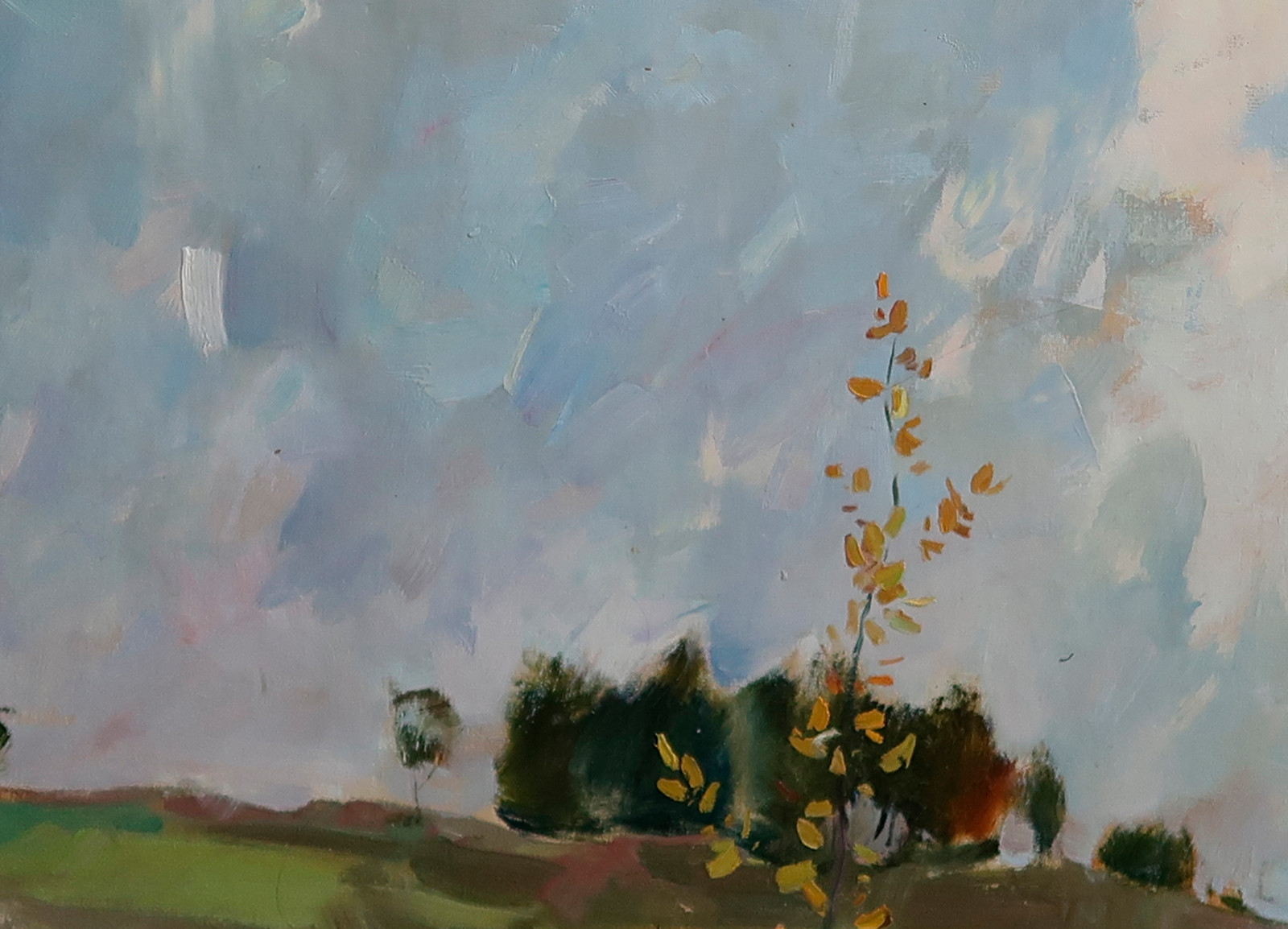 Oil painting Storm Ukrainian painter Canvas Decor Unframed original landscape
