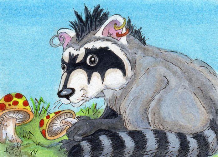 Goth Raccoon stealing Mushrooms ACEO EBSQ Kim Loberg weird Wildlife Mini Art sfa