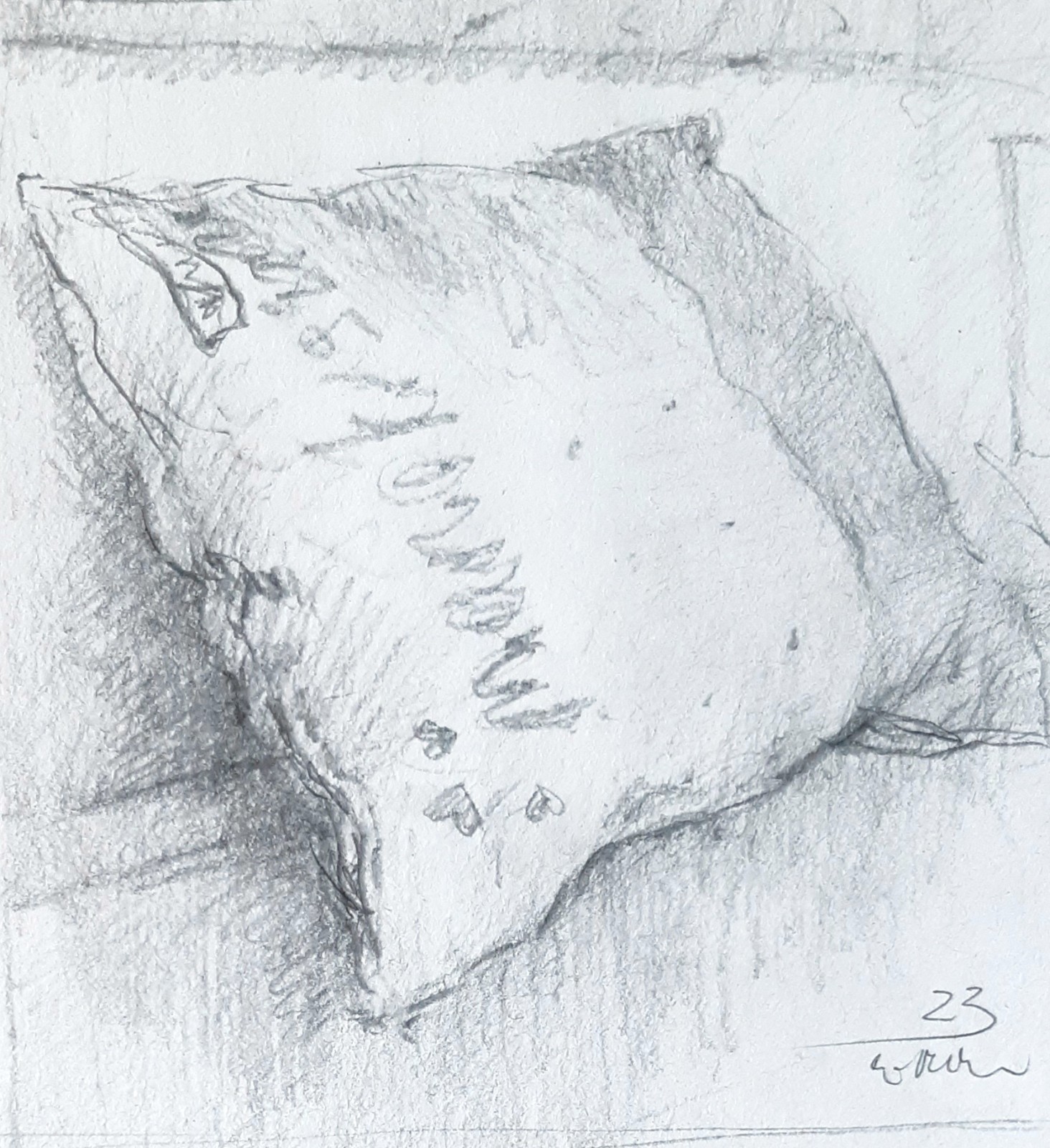 GERRY MILLER Graphite Pen.»Cushion».13x14cm. No frame.