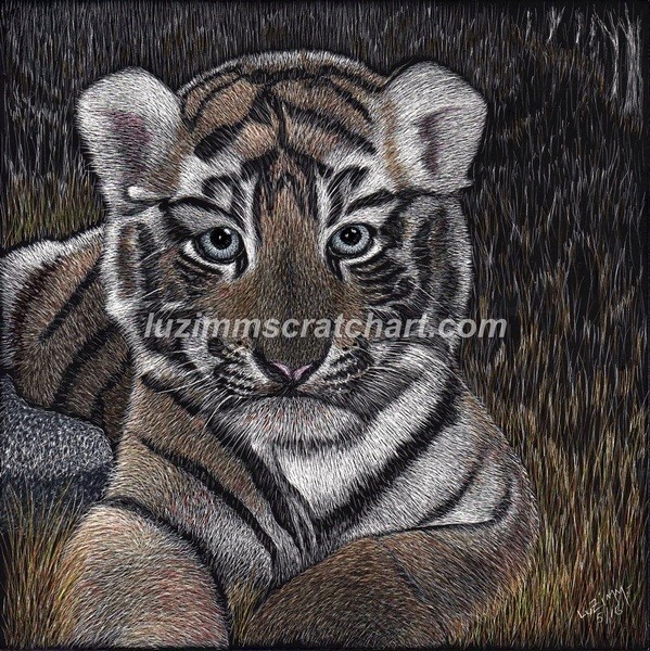 Ampersand Pro Board Original 8″x8″x1/4″ Tiger’s Cub Face Signed