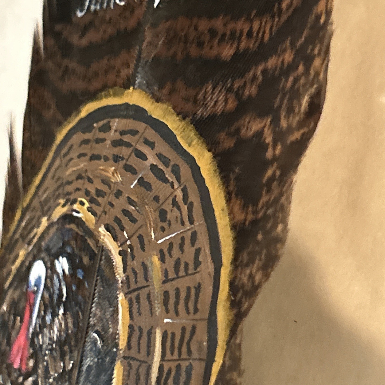 Hand Painted Turkey Feather. Signed Marte Erb. School Auction 6/18/2010. No. 69.