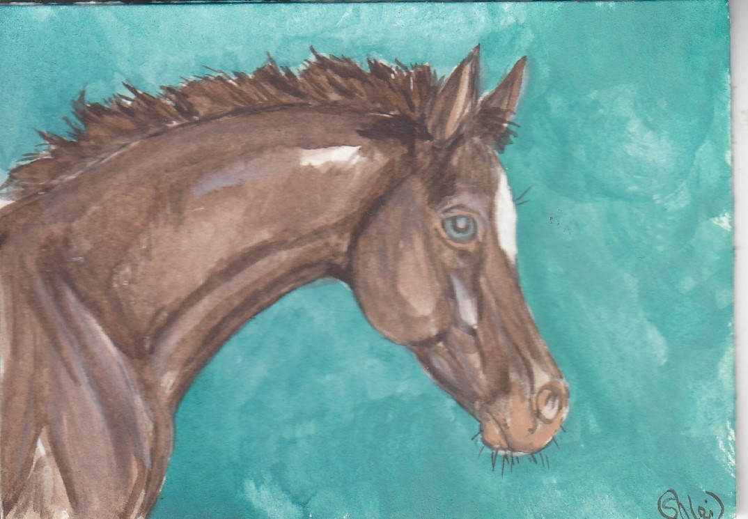 ACEO original Watercolor Art Card HORSE classic champagne Friesian Sport Colt