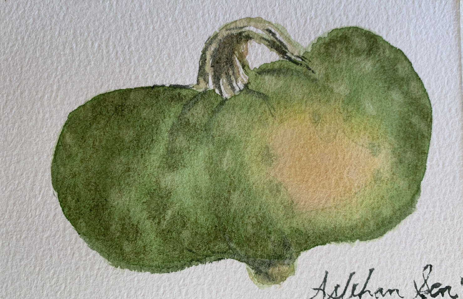 Original watercolor Kabocha Squash Green Pumpkin, 5.25×3.75 small mini painting