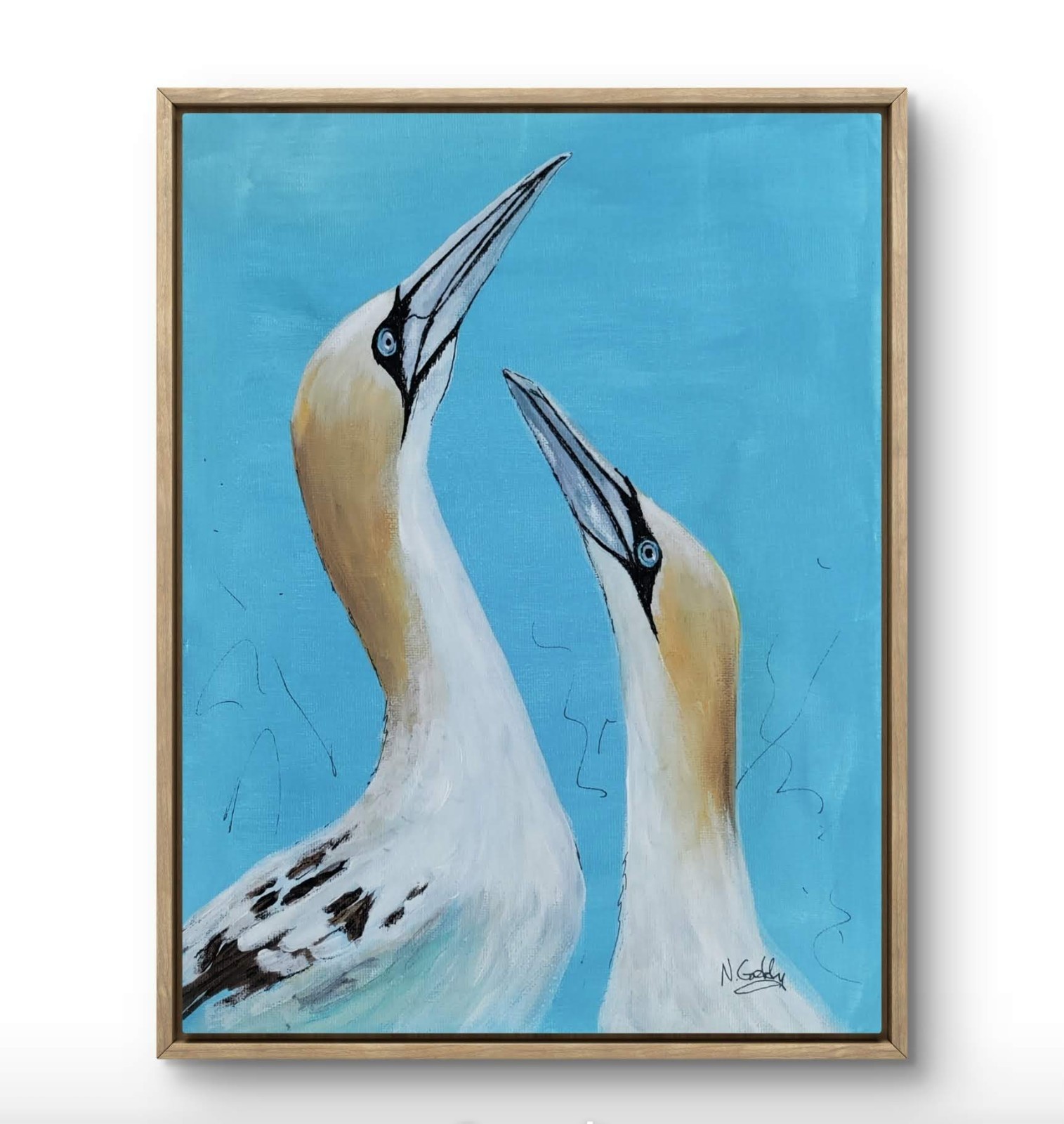 Original 9 x 12 Expressive Northern Gannets Birds Acrylic on Canvas Painting