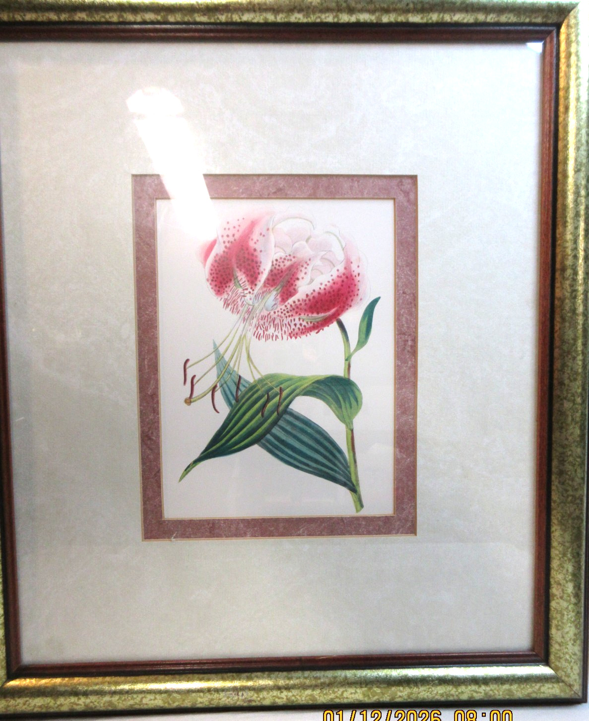 VNTG~GOLD ANTIQUED FRAMED~BOTANICAL PRINT OF A LILY~SHEWY LILY~ LITHOGRAPH