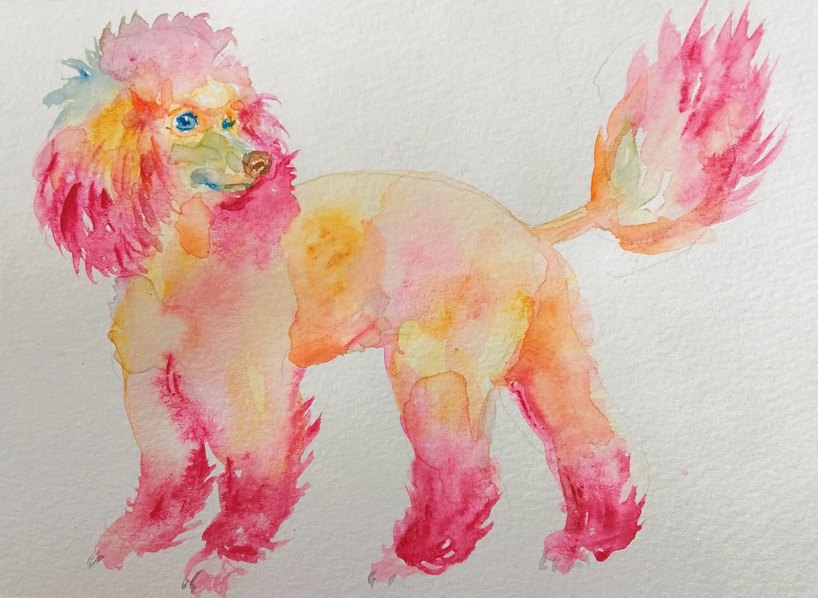 Pink poodle Original painting dog art wall decor,dog Pet lover Best gift, 5×7″