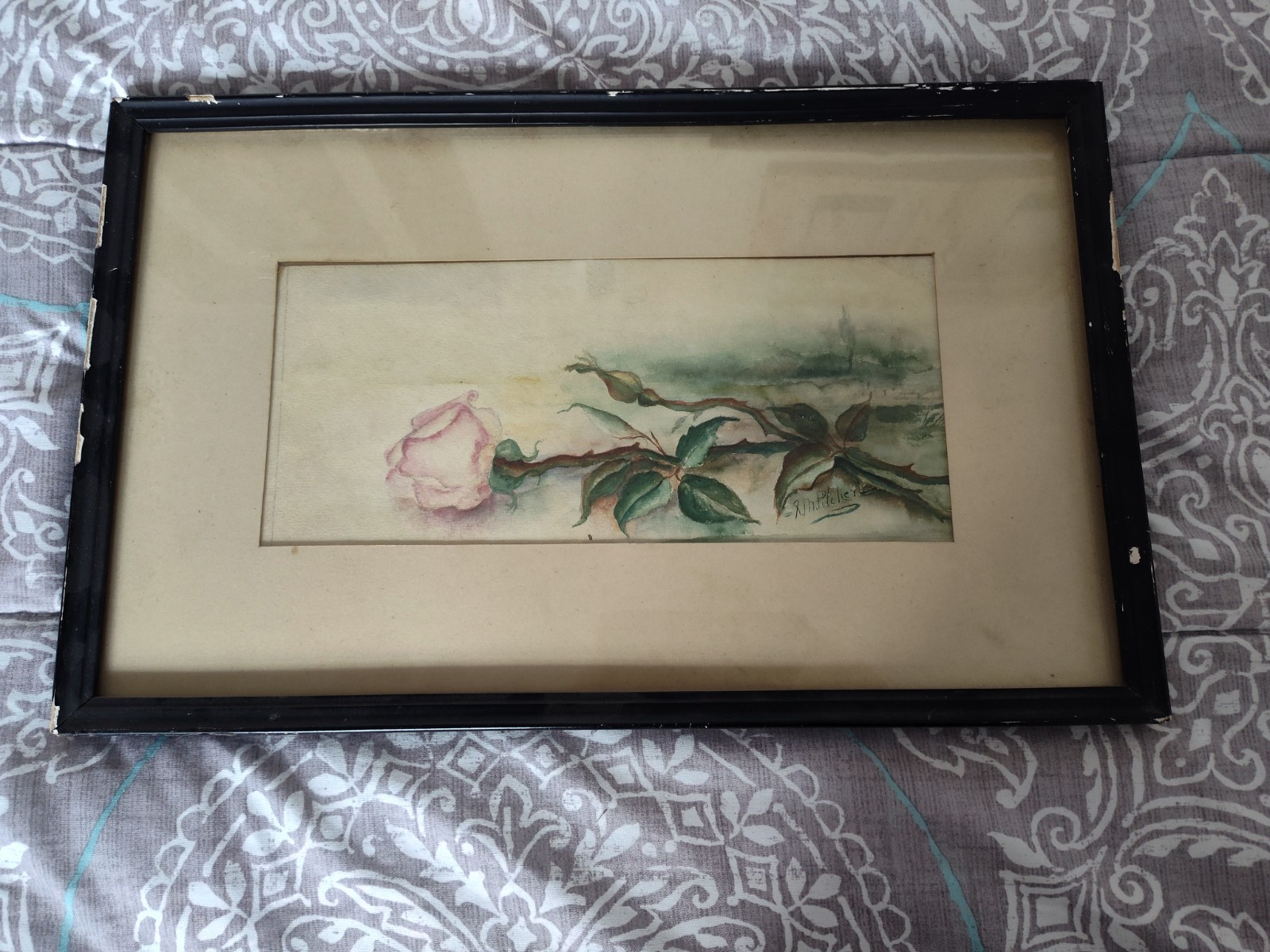 Shabby Chic Vintage Pink Rose Floral Still Life Watercolor Painting Signed
