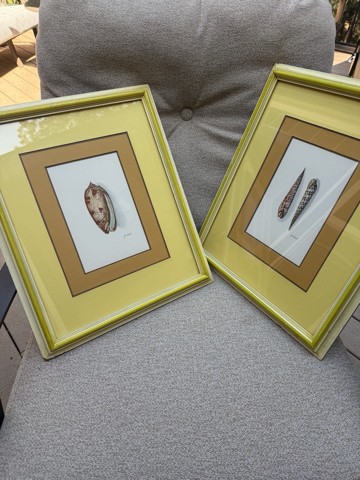 Watercolor Painting Seashells By Gillard Set Of 2 18/15