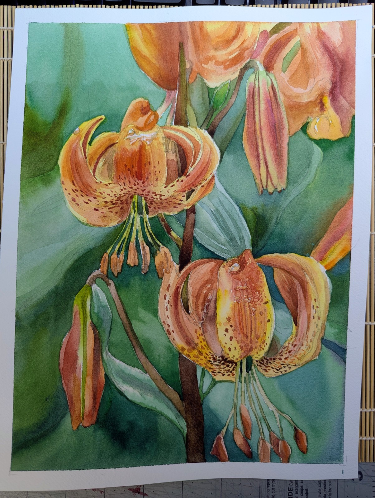 Original Watercolor Painting 9″x 12″ Turk’s Cap Lilies