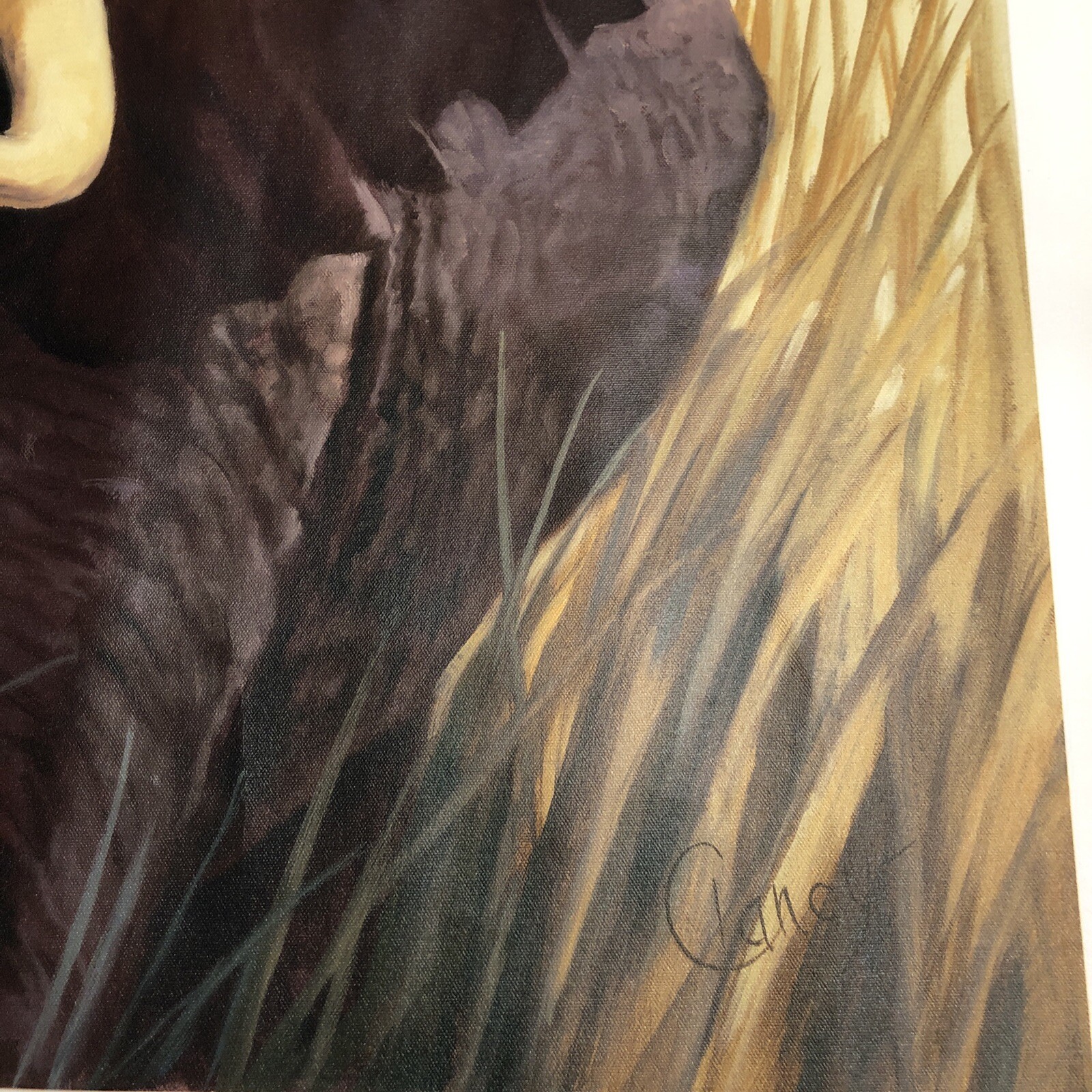 International Galleries Giclee Print Canvas Elephant Painting C. Cherry 29X39”