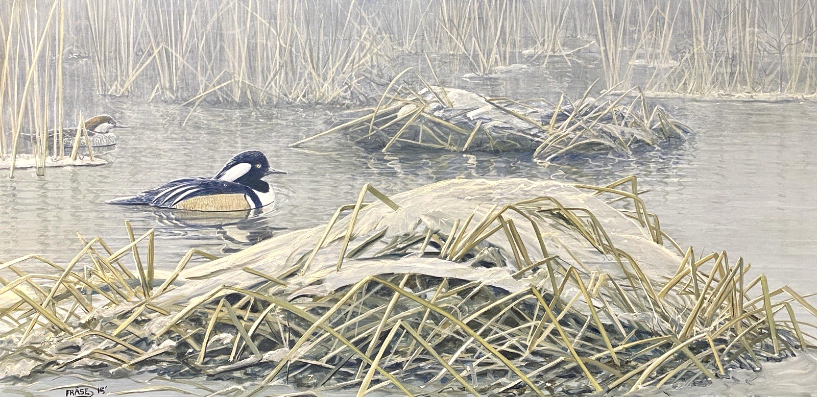 MICHAEL FRASE ORIGINAL BIRD/DUCK ART PAINTING HOODED MERGANSER PAIR, SIGNED, OIL