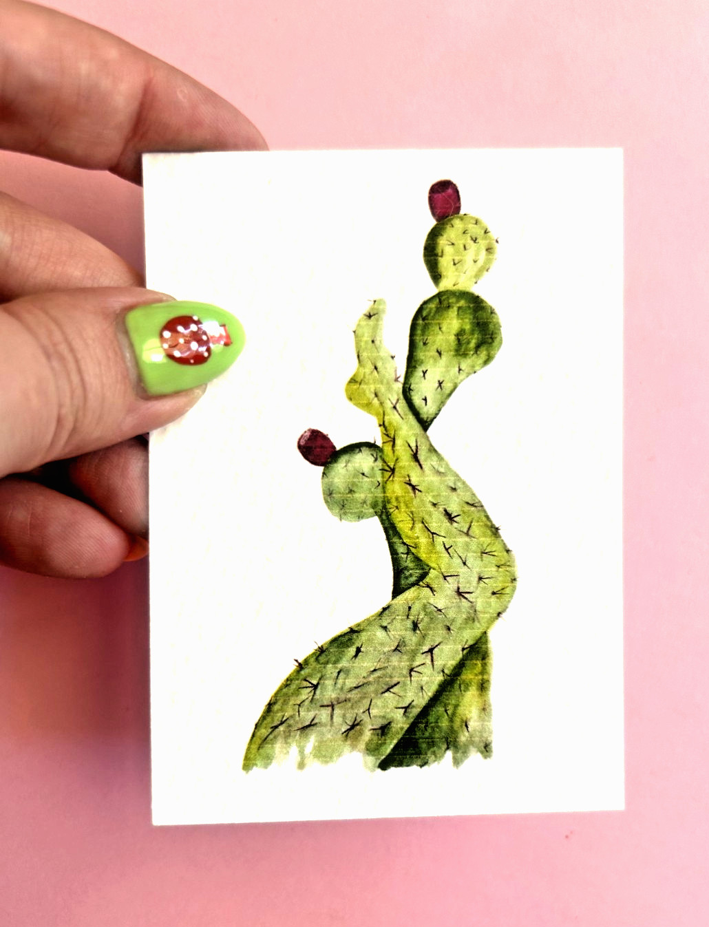 ACEO Edition- Print Sawyer Crane Leg Series Cactus Nature Watercolor Floral