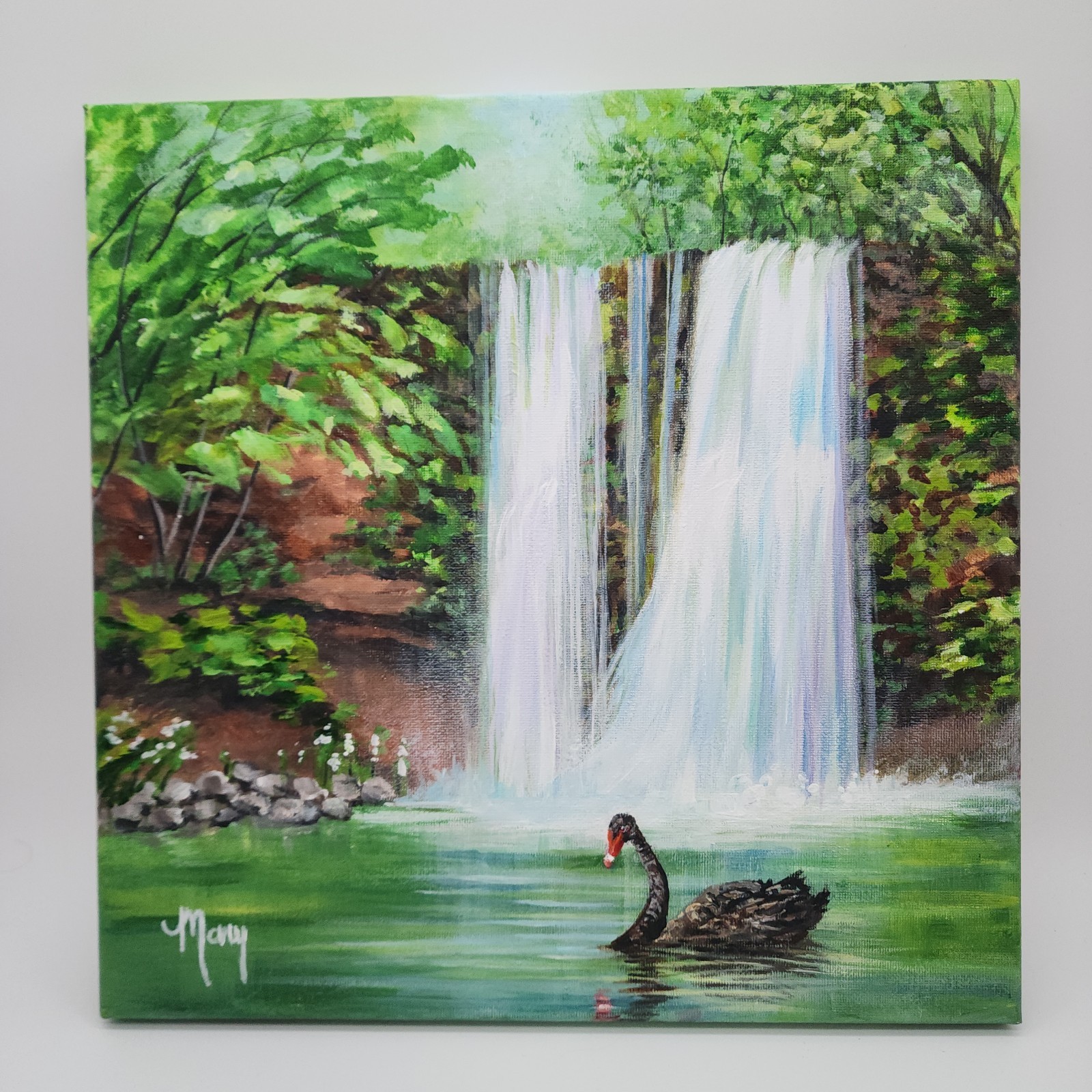 Original Painting Acrylic On Canvas 12 X 12in Black Swan Signed