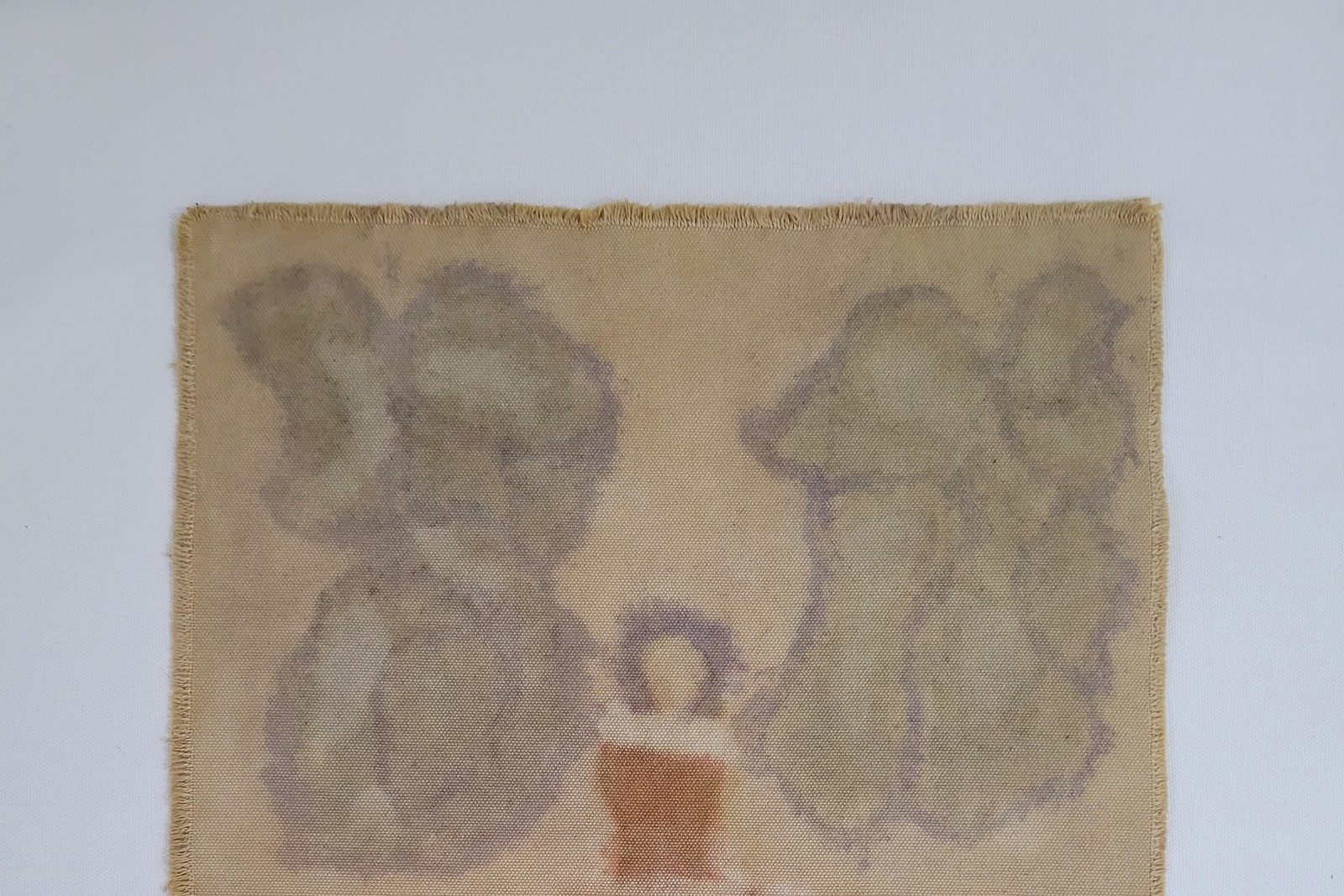 BETWEEN EARTH AND SKY (10) – Plant-Dyed Botanical Art on Cotton Canvas