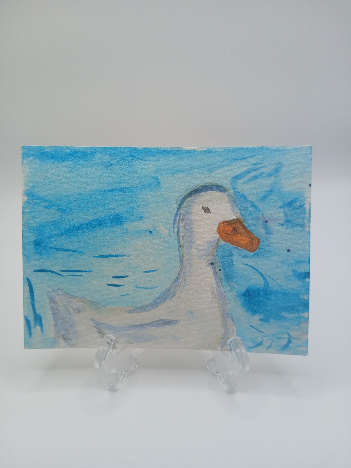 Aceo Watercolor Duck Swimming In Water Original Art Card Signed By Artist