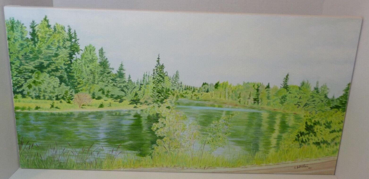 Original 24×12 Nature Oil Painting Catherine Johnston Natures Green Reflections