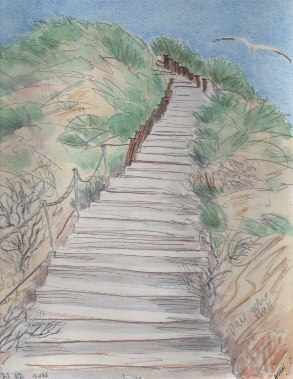 pencil/water color sketch June 21, 2012 Crystal Cove