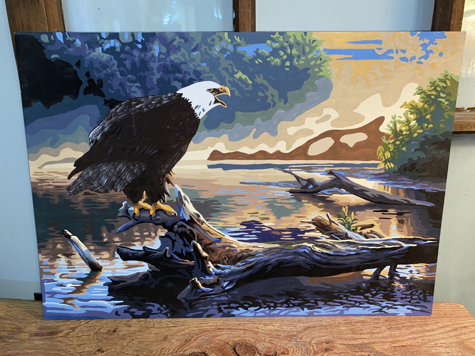 Vtg Paint By Number EAGLE on a branch by Water 20″ x 14″ UNFRAMED Painting