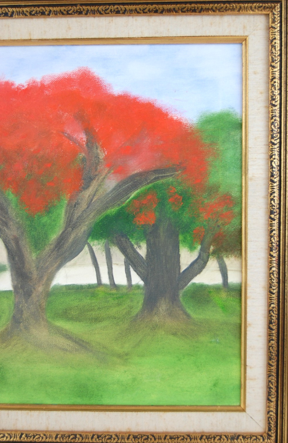 Vtg 80’s Framed Original Oil «Framboyan (Royal Poinciana) Tree Landscape» 20X16