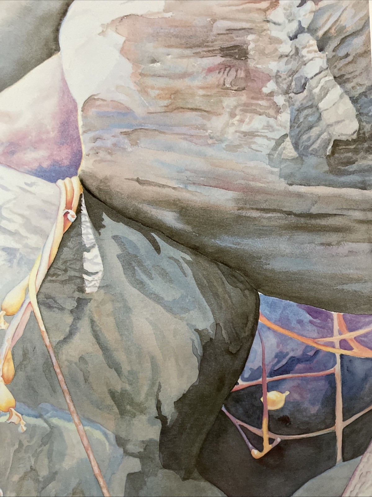 Cabrillo «After The Storm»1986 California Signed Linda Gunn 28.5″X20»