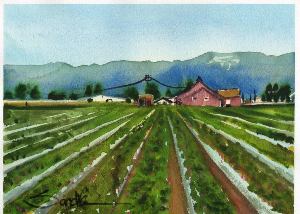 Ventura County Farm : Sandra Watercolors™ : ORIGINAL PAINTING