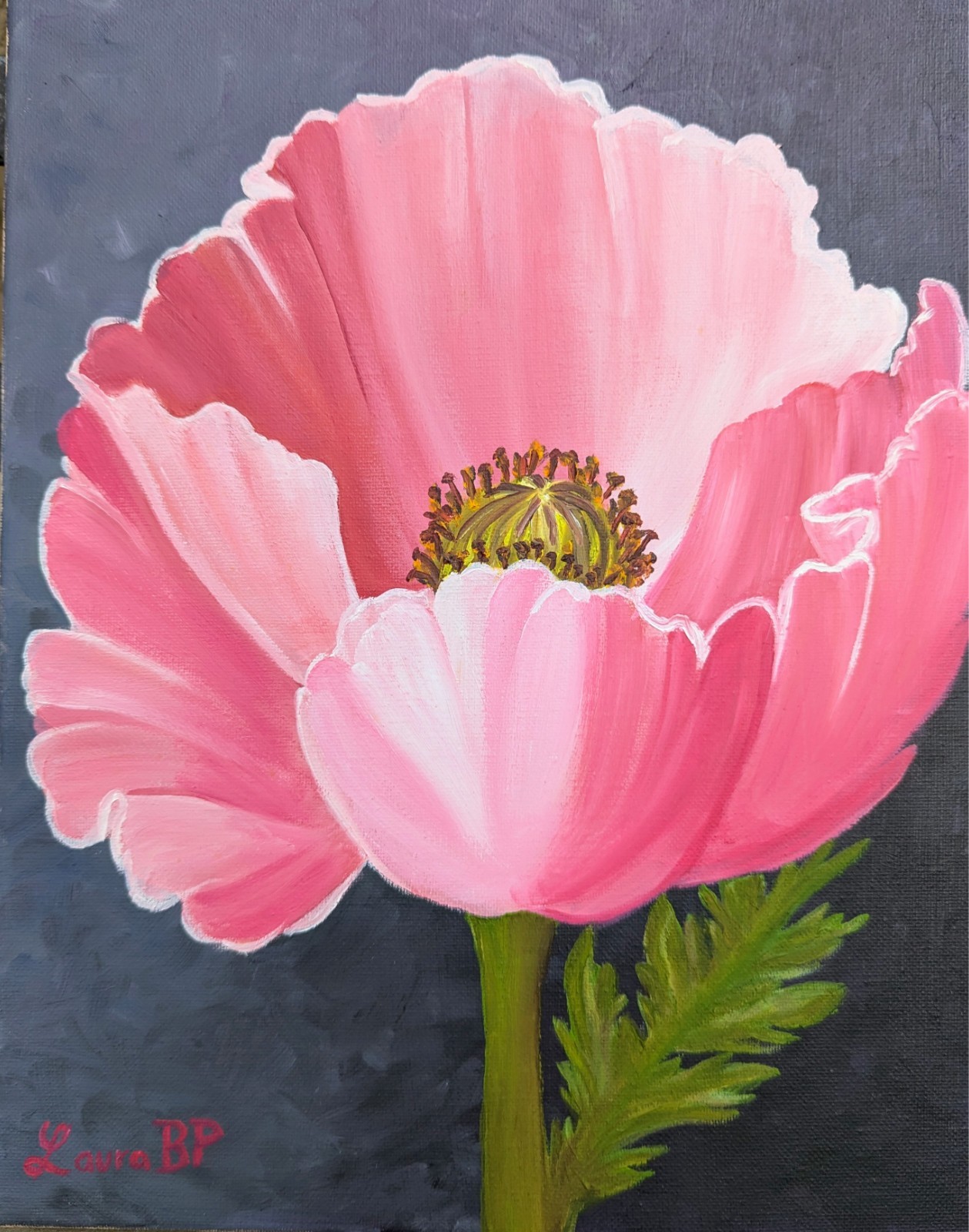 Poppy 11x14x0.5 in. 100% Hand Painted Oil On Canvas IS NOT A PRINT, Unframed