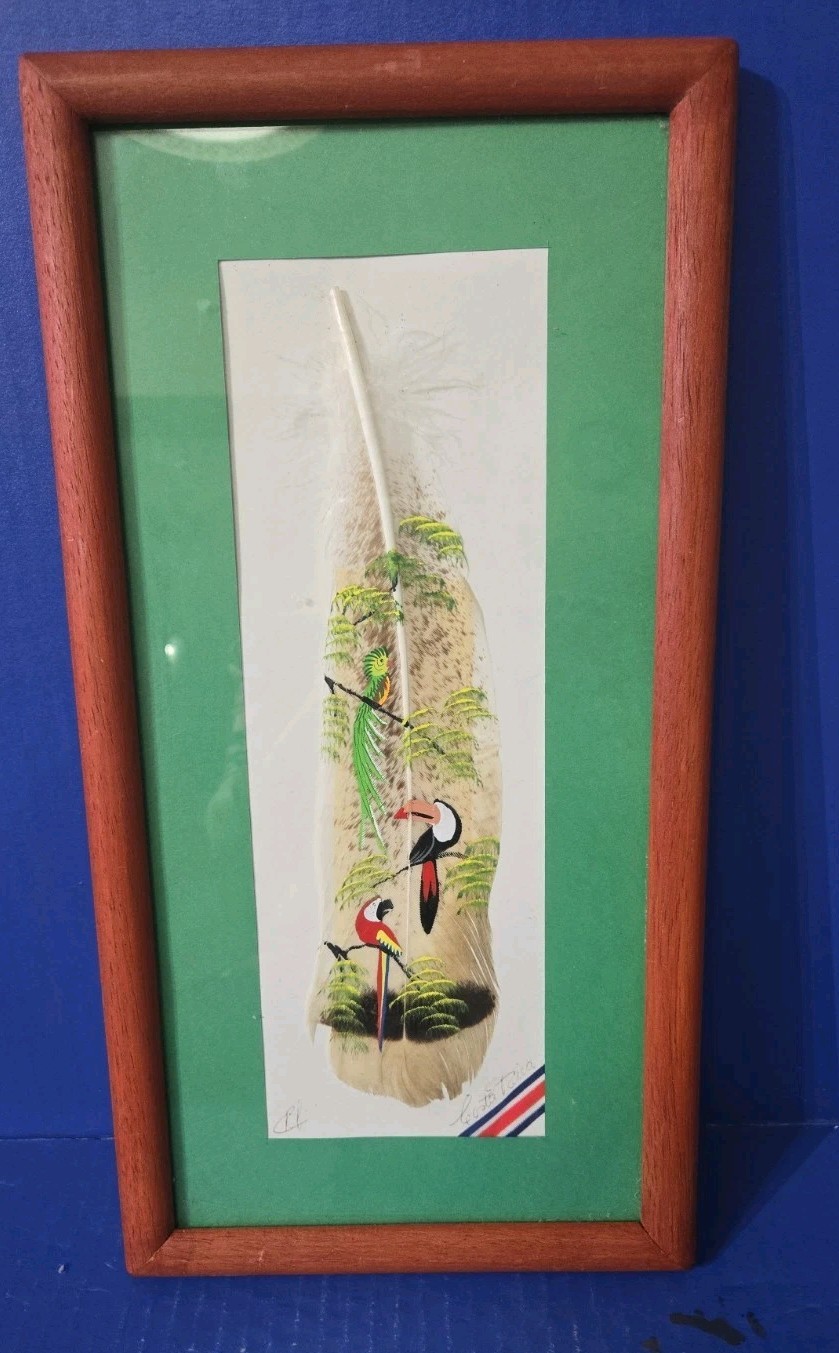 Vintage Souvenir Costa Rica TOUCAN Folk Art Painting on Feathers Signed framed