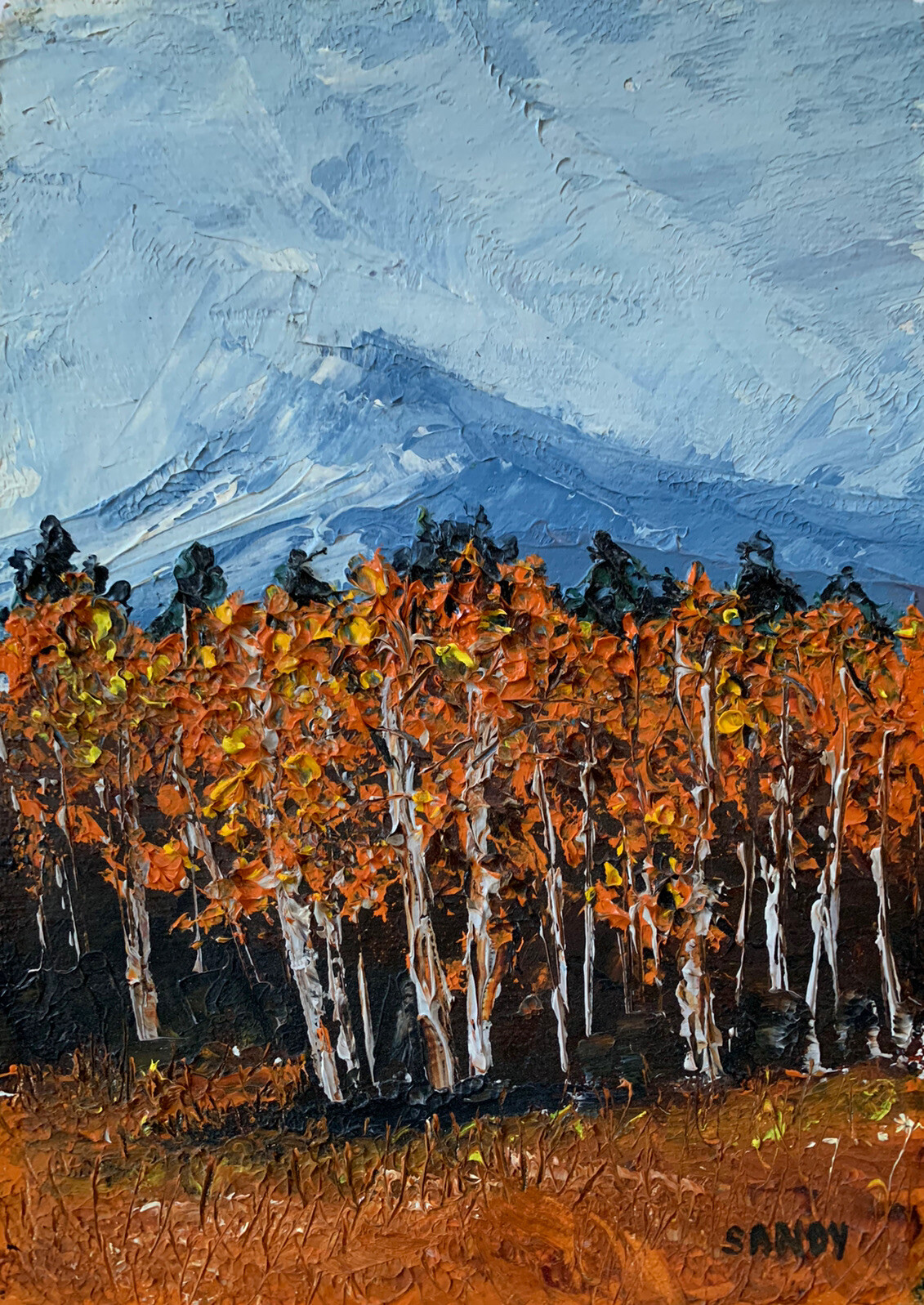 Oil Painting Aspen Tree Grove Mountain Landscape Original By Sandy Heavy Texture